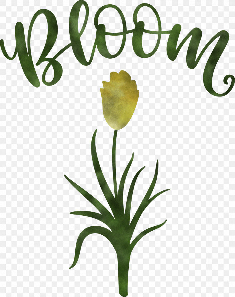 Bloom Spring Flower, PNG, 2379x3000px, Bloom, Cut Flowers, Earth Laughs In Flowers, Floral Design, Flower Download Free