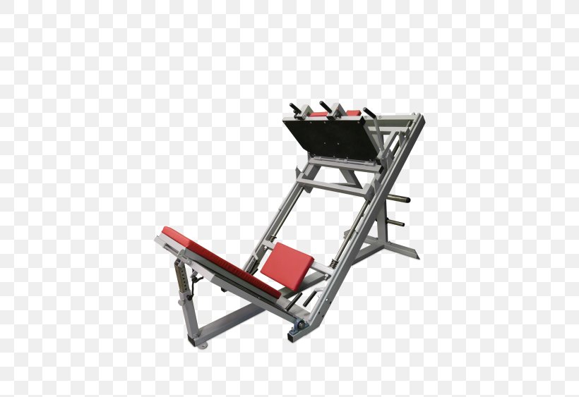 Crus Squat Leg Press Muscle Human Leg, PNG, 450x563px, Crus, Bench, Exercise Machine, Fitness Centre, Furniture Download Free