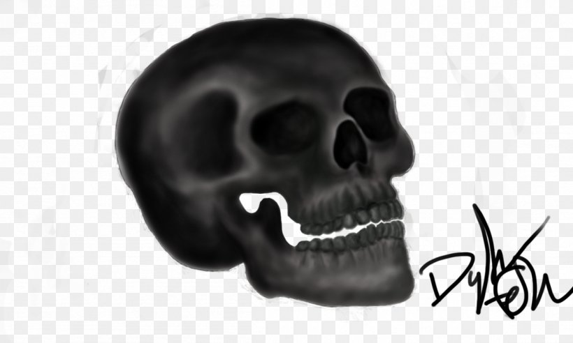 Skull White Font, PNG, 1153x692px, Skull, Black And White, Bone, Jaw, Snout Download Free