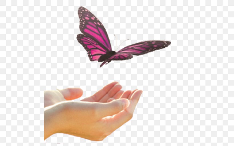 Brush-footed Butterflies Butterfly Nail Magenta, PNG, 512x512px, Brushfooted Butterflies, Brush Footed Butterfly, Butterfly, Finger, Hand Download Free