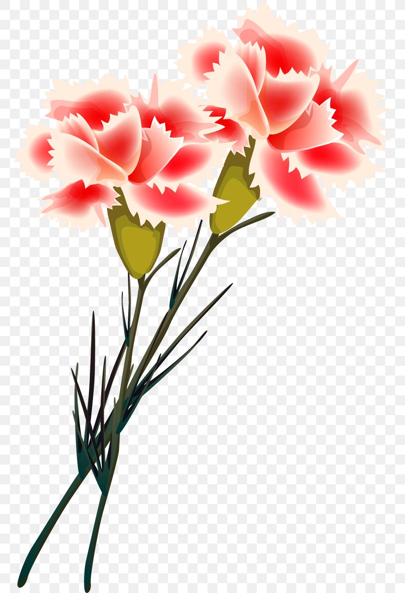 Carnation Cut Flowers Painting Floral Design, PNG, 766x1200px, Carnation, Clove, Cut Flowers, Dianthus, Flora Download Free