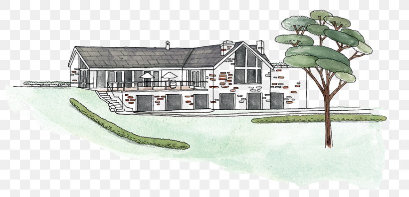 Chapel Hill Winery Tasting Room And Gallery Chapel Hill Winery Guest House The Retreat At Chapel Hill Chapel Hill Road Water Transportation, PNG, 800x395px, Watercolor, Cartoon, Flower, Frame, Heart Download Free