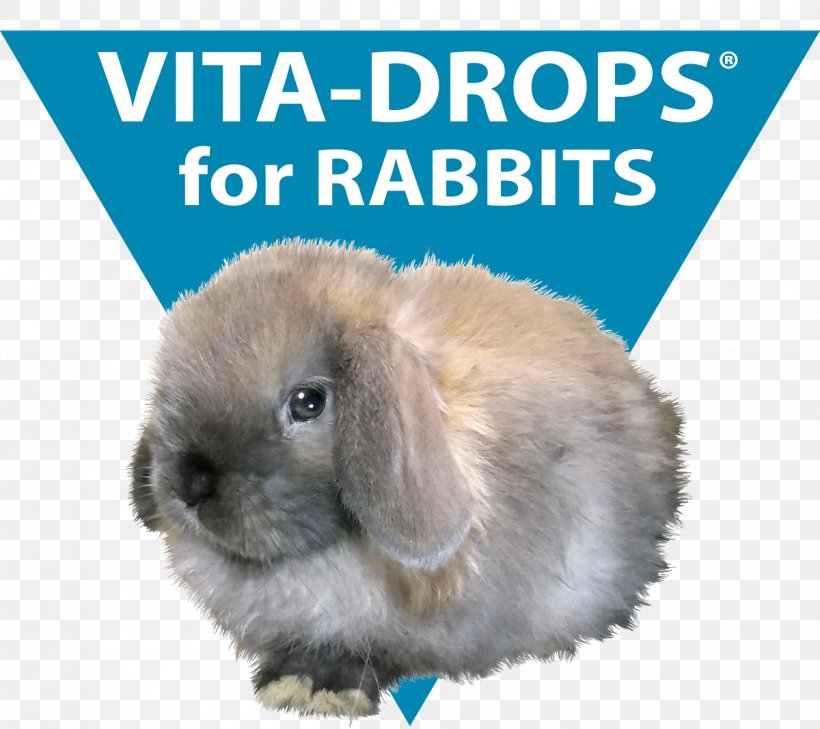 Domestic Rabbit Hare Jessica Rabbit Fauna, PNG, 1200x1067px, Domestic Rabbit, Fauna, Hare, Jessica Rabbit, Mammal Download Free