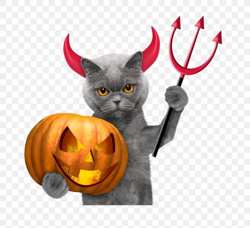 Black Cat Halloween, PNG, 1000x912px, Cat, Black Cat, Calabaza, Costume, Devil Download Free
