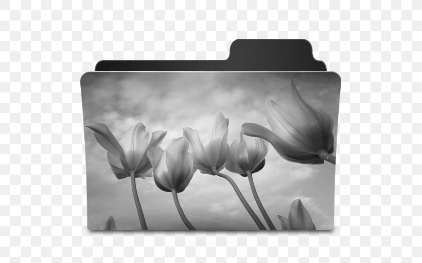 Desktop Wallpaper Video Door-phone Morning, PNG, 512x512px, Video Doorphone, Black And White, Broadcast Television Systems, Computer Monitors, Flower Download Free