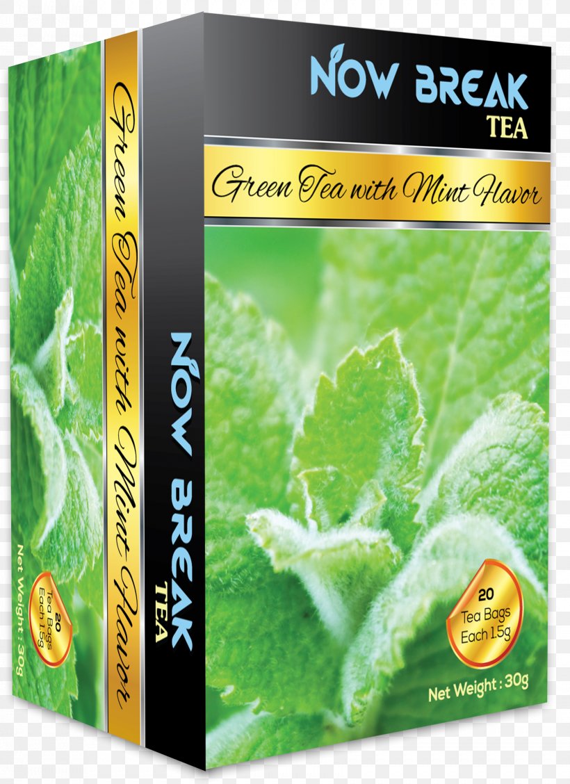 Green Tea Black Tea Drink Herb, PNG, 1681x2314px, Green Tea, Beyond Compare, Black Tea, Drink, Flavor Download Free