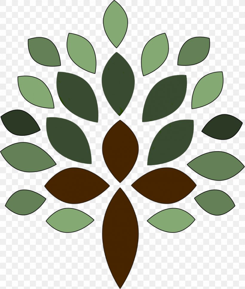Leaf Plant Stem Tree Clip Art, PNG, 892x1054px, Leaf, Grass, Green, Organism, Plant Download Free