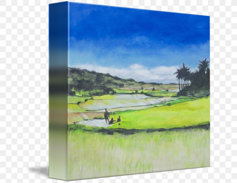 Watercolor Painting Land Lot Picture Frames Energy, PNG, 650x634px, Painting, Energy, Field, Grass, Grass Family Download Free
