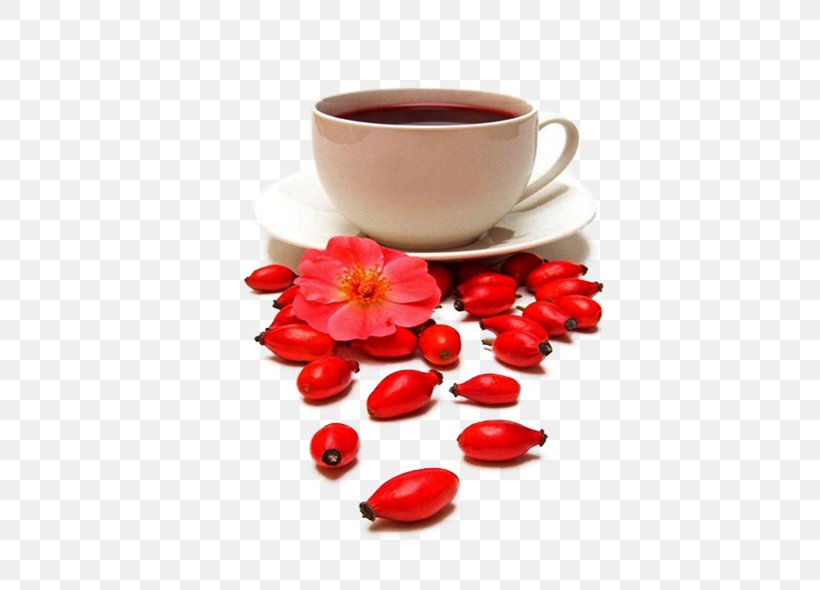 Tea Rose Hip Beach Rose Dog-rose Stock Photography, PNG, 527x590px, Tea, Beach Rose, Coffee Cup, Cup, Dogrose Download Free