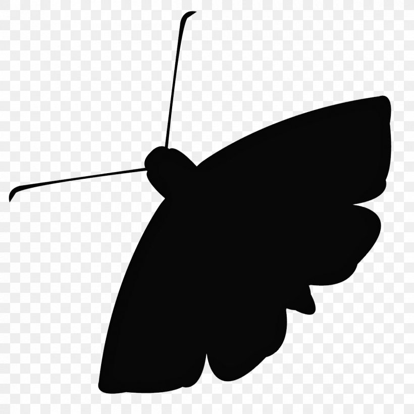 The Moth Podcast The DC Moth: StorySLAM, PNG, 1200x1200px, Moth, Art, Black, Black And White, Butterfly Download Free