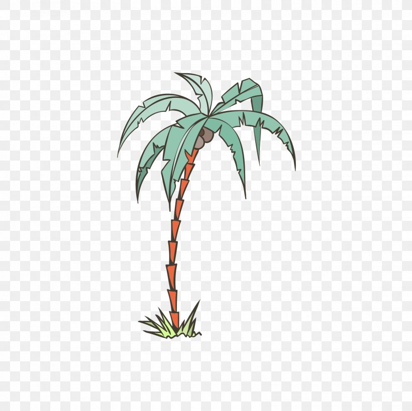 Arecaceae Illustration, PNG, 1600x1600px, Arecaceae, Arecales, Auglis, Branch, Coconut Download Free