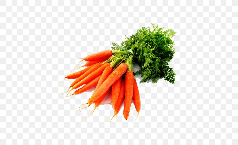 Carrot Seed Oil Vegetable Carrot Juice, PNG, 500x500px, Carrot, Apiaceae, Baby Carrot, Carotene, Carrier Oil Download Free