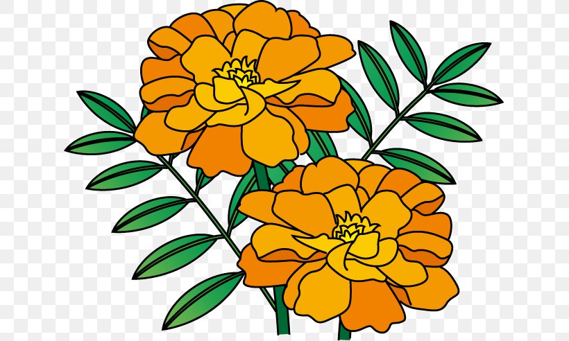 Floral Design Illustration Flower Marigold Summer, PNG, 636x492px, 2018, Floral Design, Annual Plant, Art, Artwork Download Free