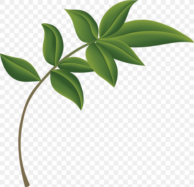 Flower Plants Clip Art Leaf Design, PNG, 1200x1158px, Flower, Ceiling, Leaf, Plant, Plant Stem Download Free
