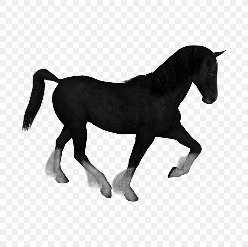 Horse Drawing Clip Art, PNG, 1600x1600px, Horse, Animal, Animal Figure, Art, Black And White Download Free