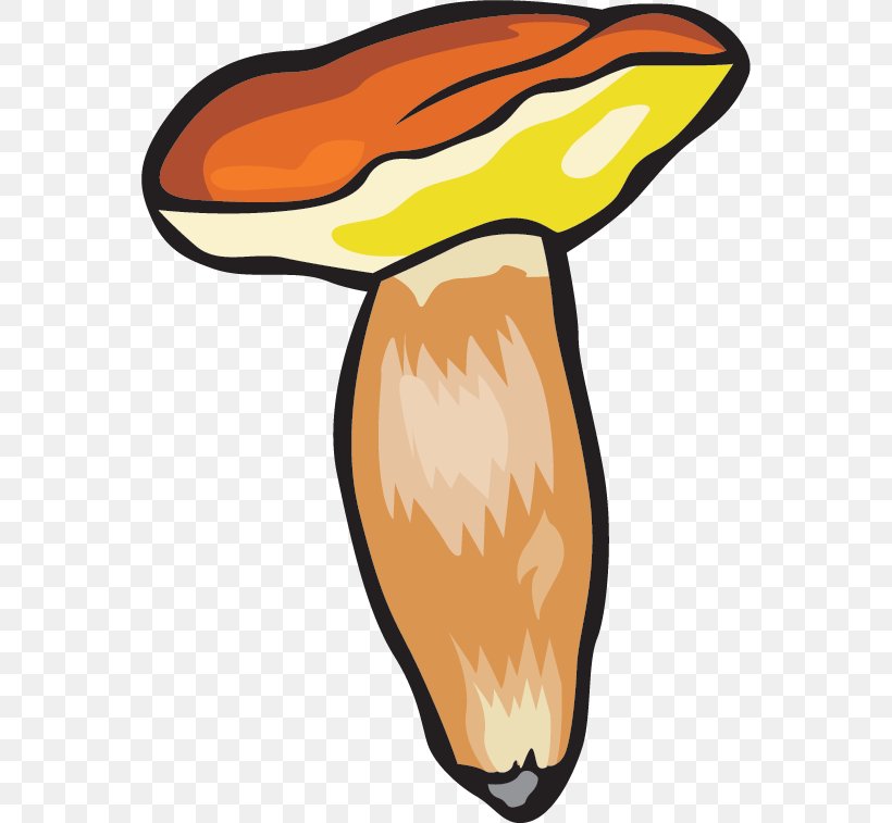 Food Cream Of Mushroom Soup Clip Art, PNG, 560x757px, Food, Artwork, Beak, Cartoon, Cream Of Mushroom Soup Download Free