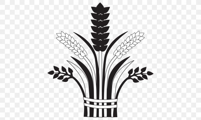 Grasses Wheat Illustrator, PNG, 1024x614px, Grasses, Black And White, Commodity, Flower, Flowering Plant Download Free