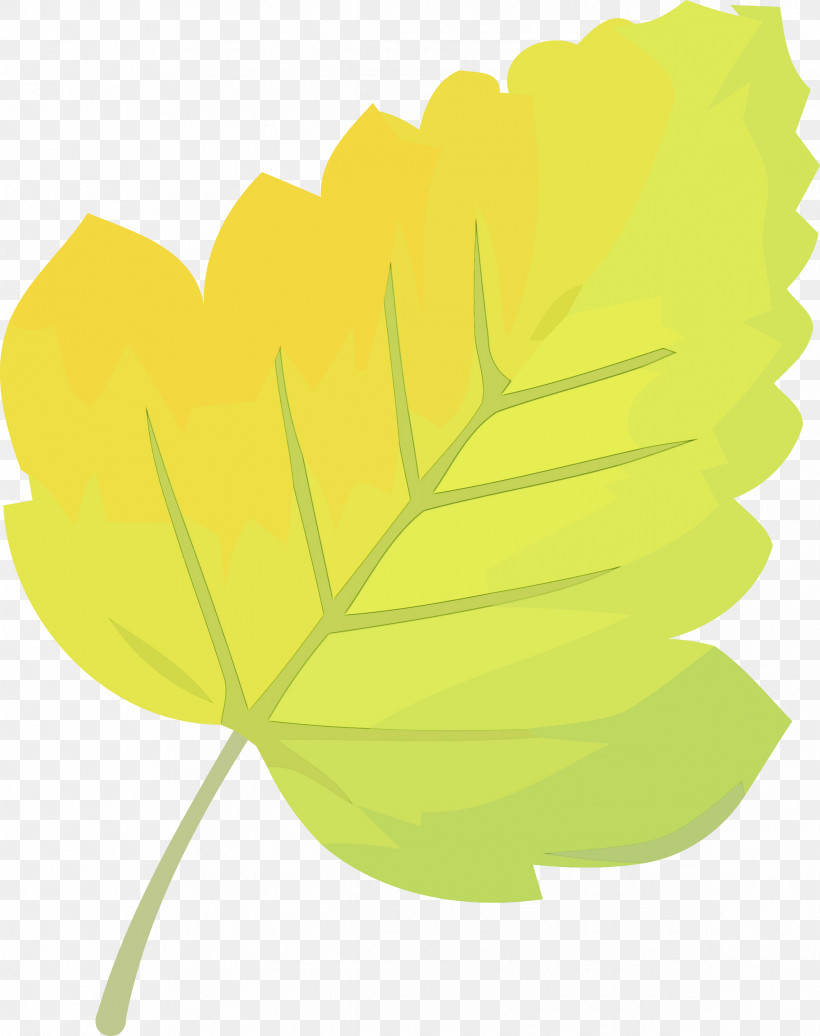 Leaf Green Yellow Plant Tree, PNG, 2373x3000px, Autumn Leaf, Flower, Green, Leaf, Paint Download Free