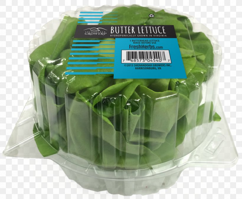 Leaf Lettuce Butterhead Lettuce Hydroponics Leaf Vegetable Salad, PNG, 1210x1000px, Leaf Lettuce, Butter, Butterhead Lettuce, Food, Garnish Download Free
