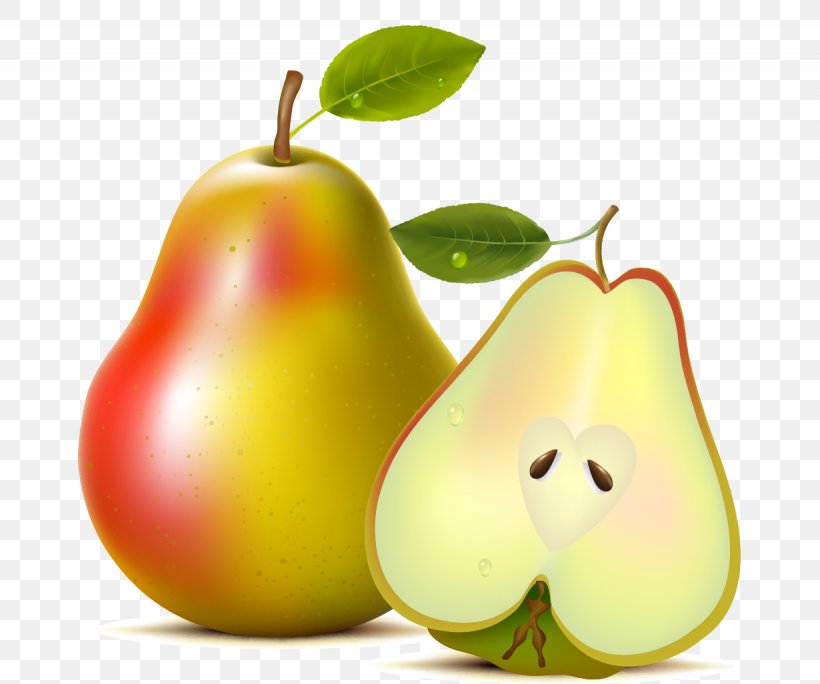 Asian Pear Fruit Williams Pear, PNG, 1230x1027px, Asian Pear, Apple, Comice Pears, Diet Food, Food Download Free