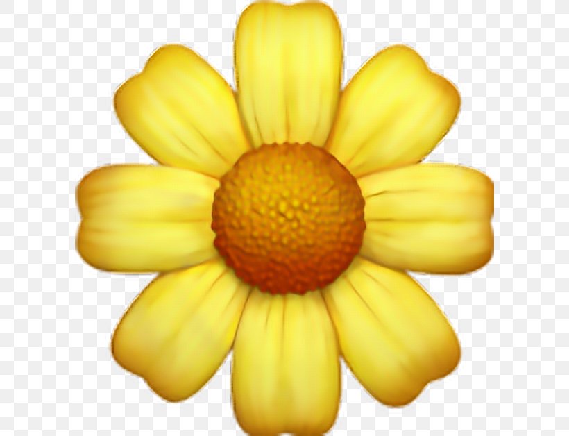 Emojipedia Flower Sticker Emoticon, PNG, 604x628px, Emoji, Chrysanths, Daisy Family, Emojipedia, Emoticon Download Free