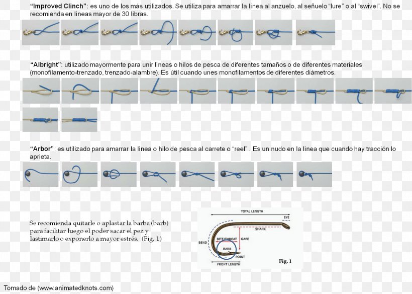 Engineering Line Angle, PNG, 1593x1135px, Engineering, Area, Text Download Free