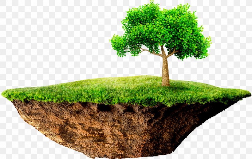 Floating Island Stock Photography Royalty-free 美の起原, PNG, 1035x653px, Floating Island, Bonsai, Business, Ecosystem, Flowerpot Download Free