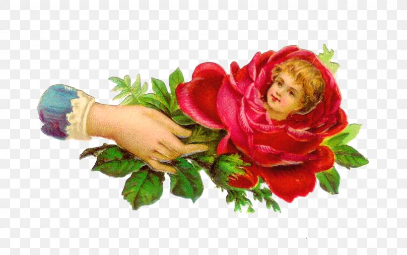 Garden Roses Victorian Era Flower Clip Art, PNG, 1600x1004px, Garden Roses, Antique, Artificial Flower, Cut Flowers, Decoupage Download Free