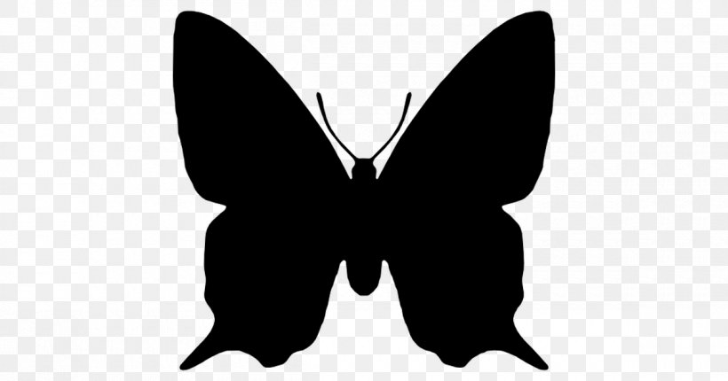 Butterfly Silhouette Papillon Dog Art, PNG, 1200x630px, Butterfly, Art, Art Museum, Arthropod, Black Download Free