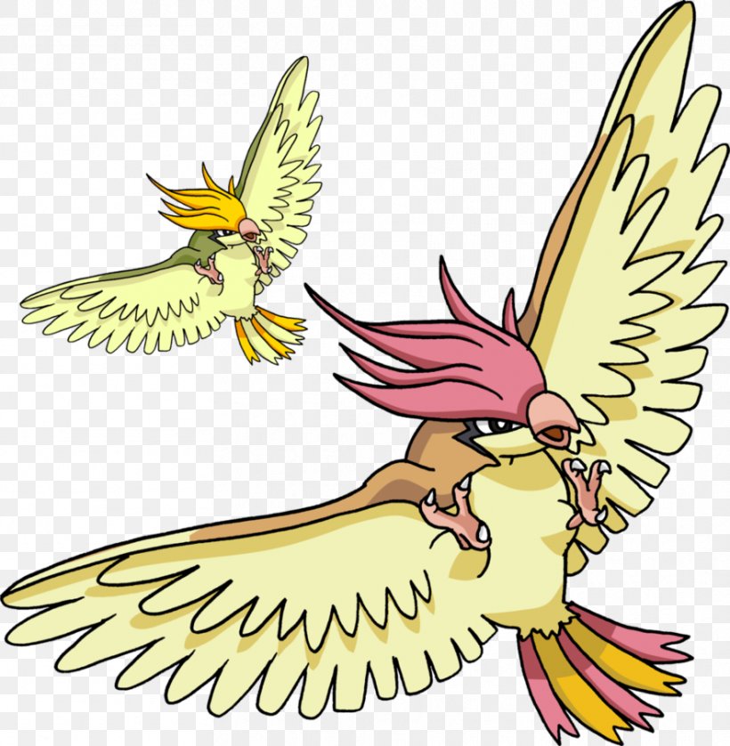 Pidgeotto Pidgey Pikachu Pokémon, PNG, 884x904px, Pidgeotto, Art, Artwork, Beak, Bird Download Free