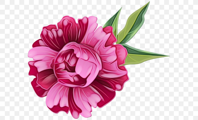 Floral Design, PNG, 600x497px, Watercolor, Artificial Flower, Biology, Cut Flowers, Dahlia Download Free