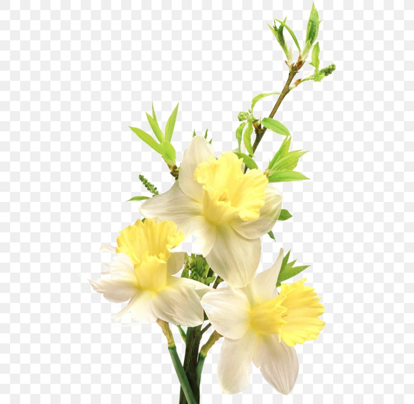 Flower Clip Art, PNG, 512x800px, Flower, Cut Flowers, Floral Design, Floristry, Flower Arranging Download Free