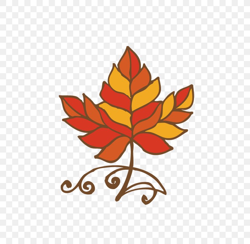 Maple Leaf Illustration, PNG, 800x800px, Maple Leaf, Designer, Flower, Flowering Plant, Google Images Download Free