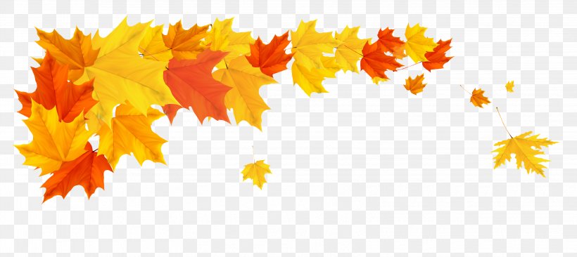 Autumn Desktop Wallpaper Clip Art, PNG, 3245x1449px, Autumn, Autumn Leaf Color, Branch, Color, Flower Download Free