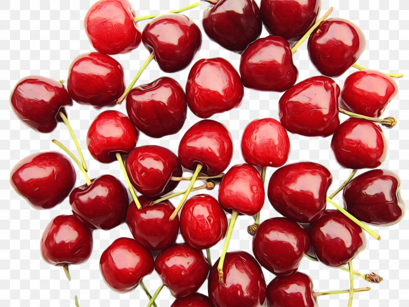 Cranberry Lingonberry Natural Foods Berry Cranberry, PNG, 1920x1440px, Watercolor, Berry, Cherry, Cranberry, Fruit Download Free