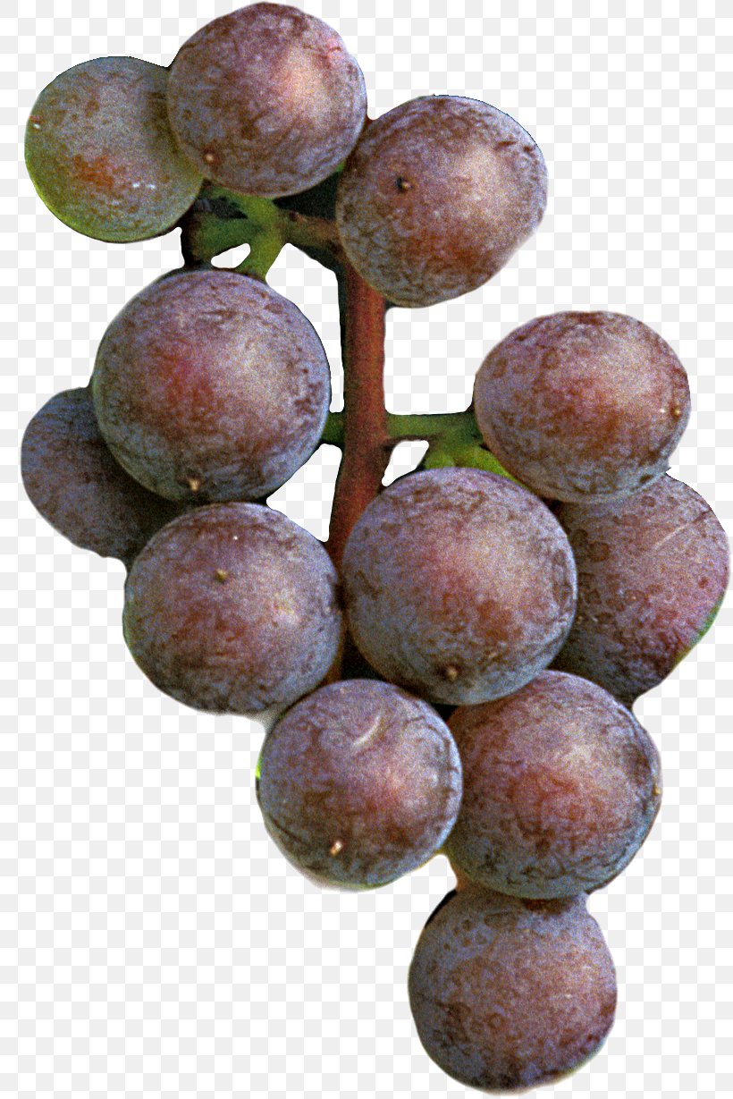 Grape Seed Extract Frontenac Seedless Fruit Damson, PNG, 820x1229px, Grape, Amazon Grape, Damson, Food, Fruit Download Free