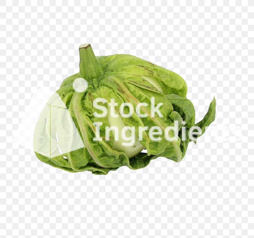 Leaf Vegetable Solanum Macrocarpon Eggplant Cruciferous Vegetables, PNG, 768x768px, Vegetable, Cabbage, Cruciferous Vegetables, Degree, Eggplant Download Free