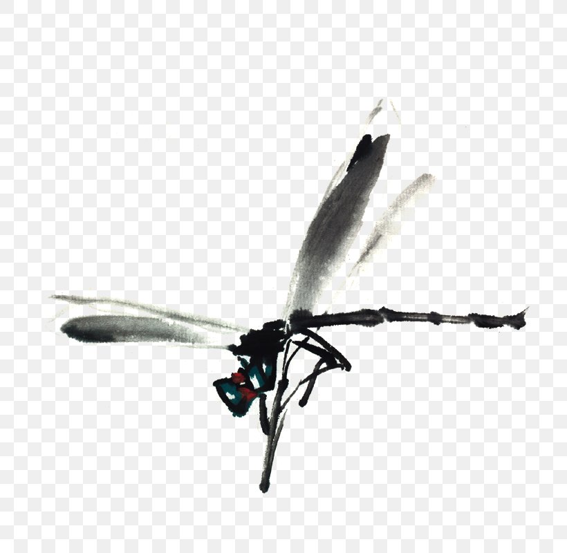 Insect Ink Wash Painting Watercolor Painting Dragonfly, PNG, 800x800px, Insect, Bird, Black And White, Dragonfly, Drawing Download Free