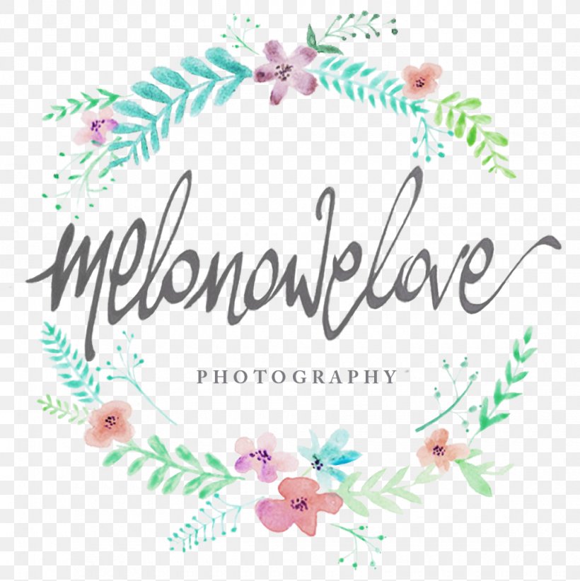 Logo Petal Floral Design Font, PNG, 1020x1023px, Logo, Floral Design, Flower, Petal, Pink Download Free