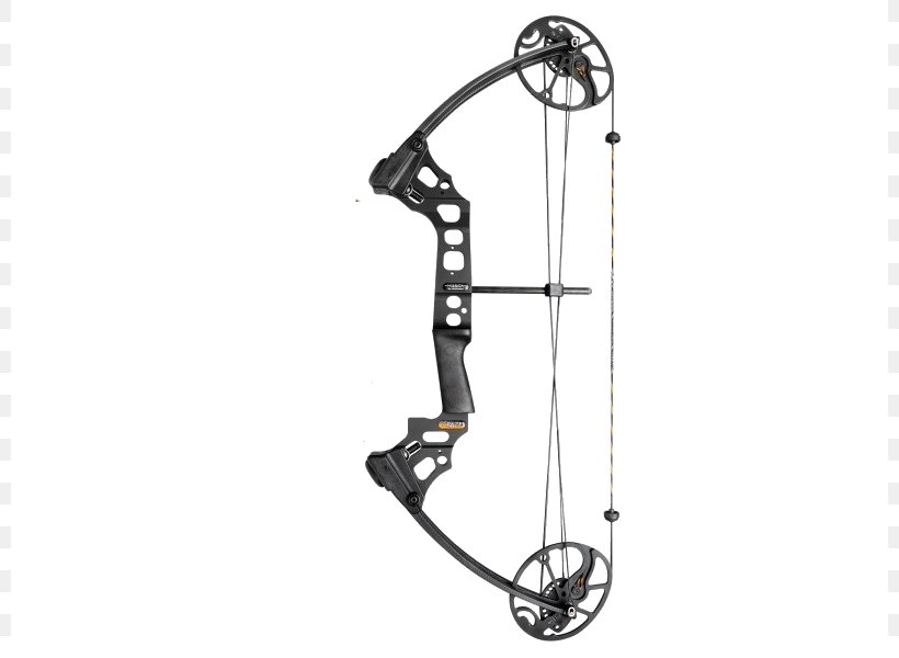 Recurve Bow Archery Compound Bows Bow And Arrow, PNG, 800x600px, Recurve Bow, Archery, Auto Part, Bow, Bow And Arrow Download Free