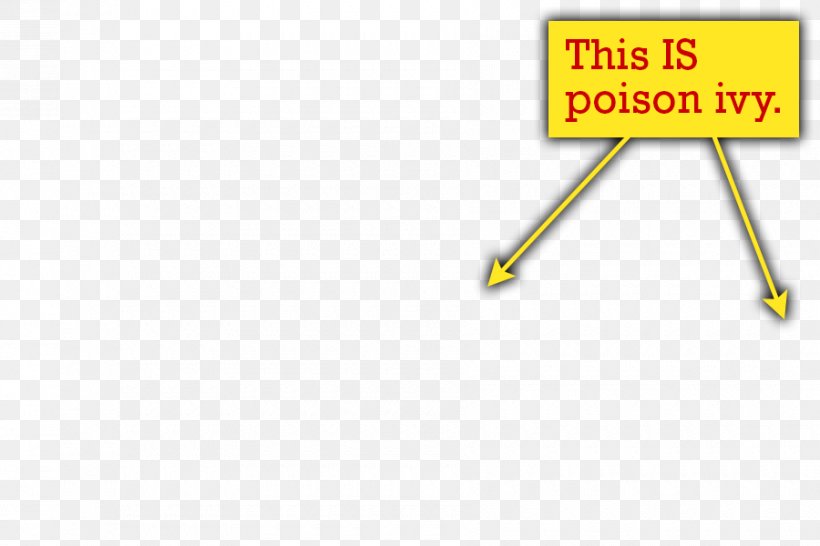 Western Poison Ivy Common Ivy Poison Sumac Pacific Poison Oak, PNG, 900x600px, Poison Ivy, Area, Brand, Common Ivy, Diagram Download Free