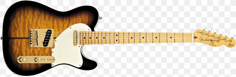 Fender Telecaster Thinline Fender Stratocaster Fender Telecaster Deluxe Fender Custom Shop, PNG, 2400x790px, Watercolor, Cartoon, Flower, Frame, Heart Download Free