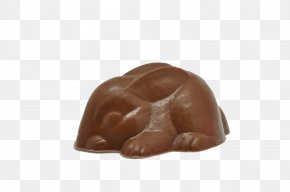 Praline Snout Brown PNG