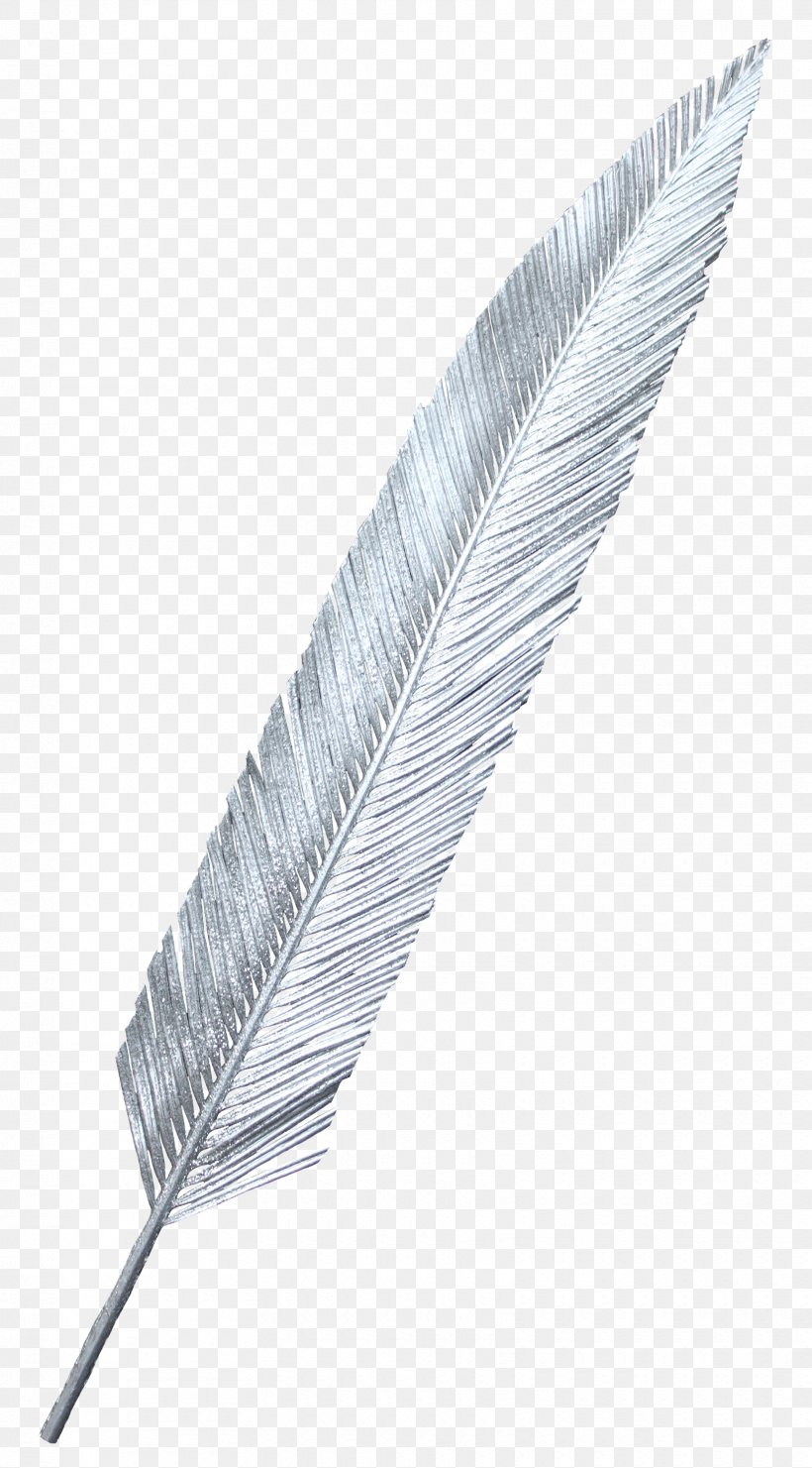 White Feather, PNG, 1660x3000px, Feather, Material, Quill, Resource, White Download Free