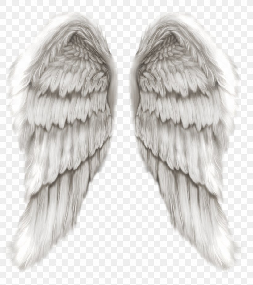 Angel Michael Clip Art, PNG, 909x1024px, Angel, Drawing, Feather, Fur, Information Download Free