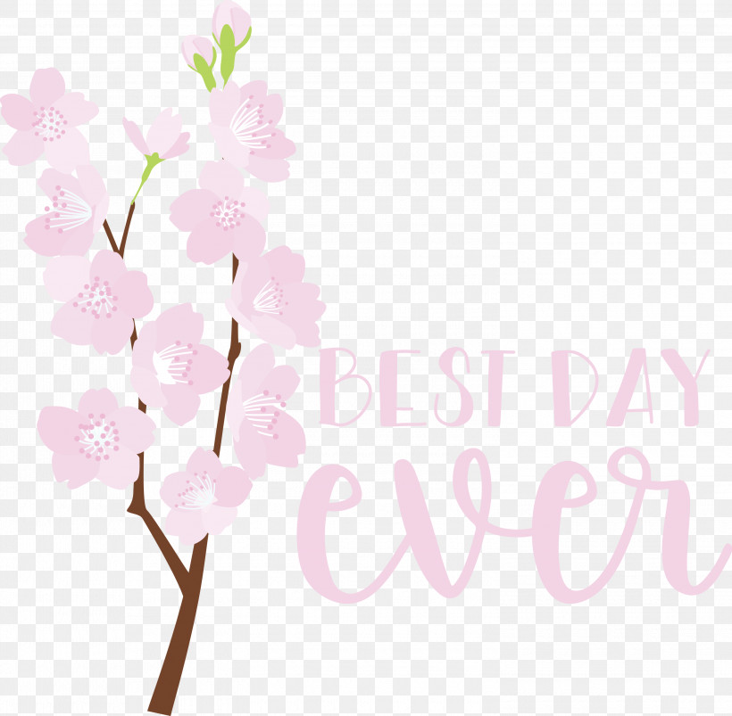 Best Day Ever Wedding, PNG, 3000x2940px, Best Day Ever, Biology, Cherry Blossom, Floral Design, Flower Download Free