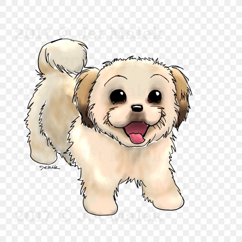 Dog Breed Puppy Shih Tzu Maltese Dog Maltipoo, PNG, 1024x1024px, Dog Breed, Animation, Bichon, Breed, Canidae Download Free