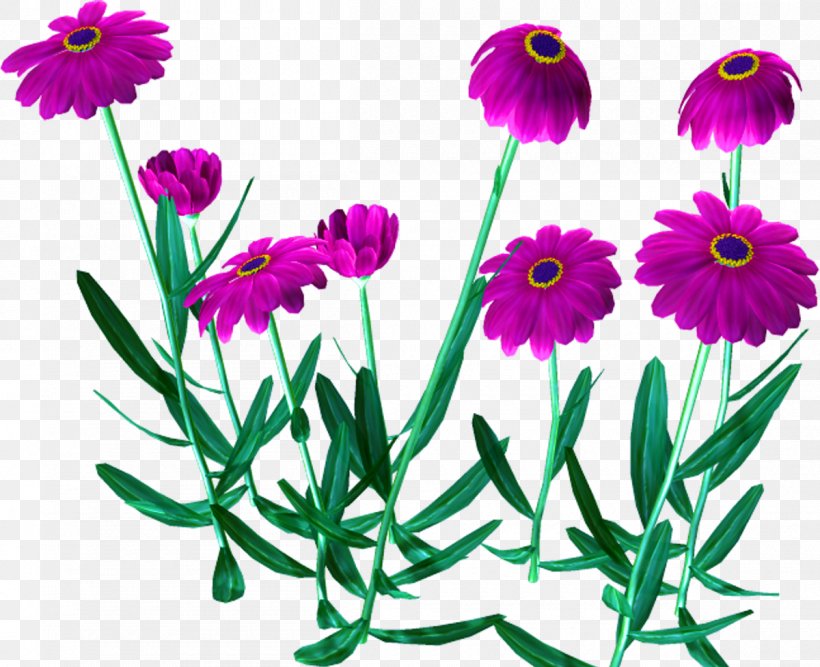 Flower Watercolor Painting Drawing, PNG, 1200x977px, Flower, Annual Plant, Art, Aster, Chrysanths Download Free