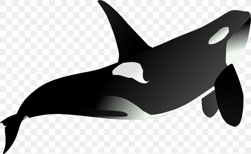 Killer Whale Clip Art, PNG, 1280x785px, Killer Whale, Animal, Aquatic Animal, Beak, Black And White Download Free
