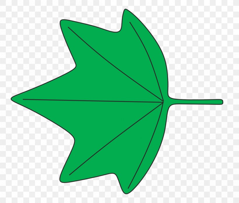 Leaf Shape 葉縁 Plant Identification Wikipedia, PNG, 1201x1024px, Leaf, Flowering Plant, Green, Identification, Identification Key Download Free